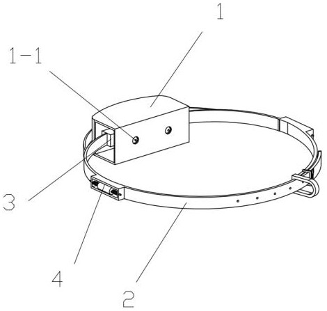 An anti-shaking collar for correcting aggressive behavior of medium and large dogs