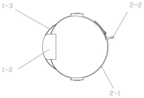 An anti-shaking collar for correcting aggressive behavior of medium and large dogs