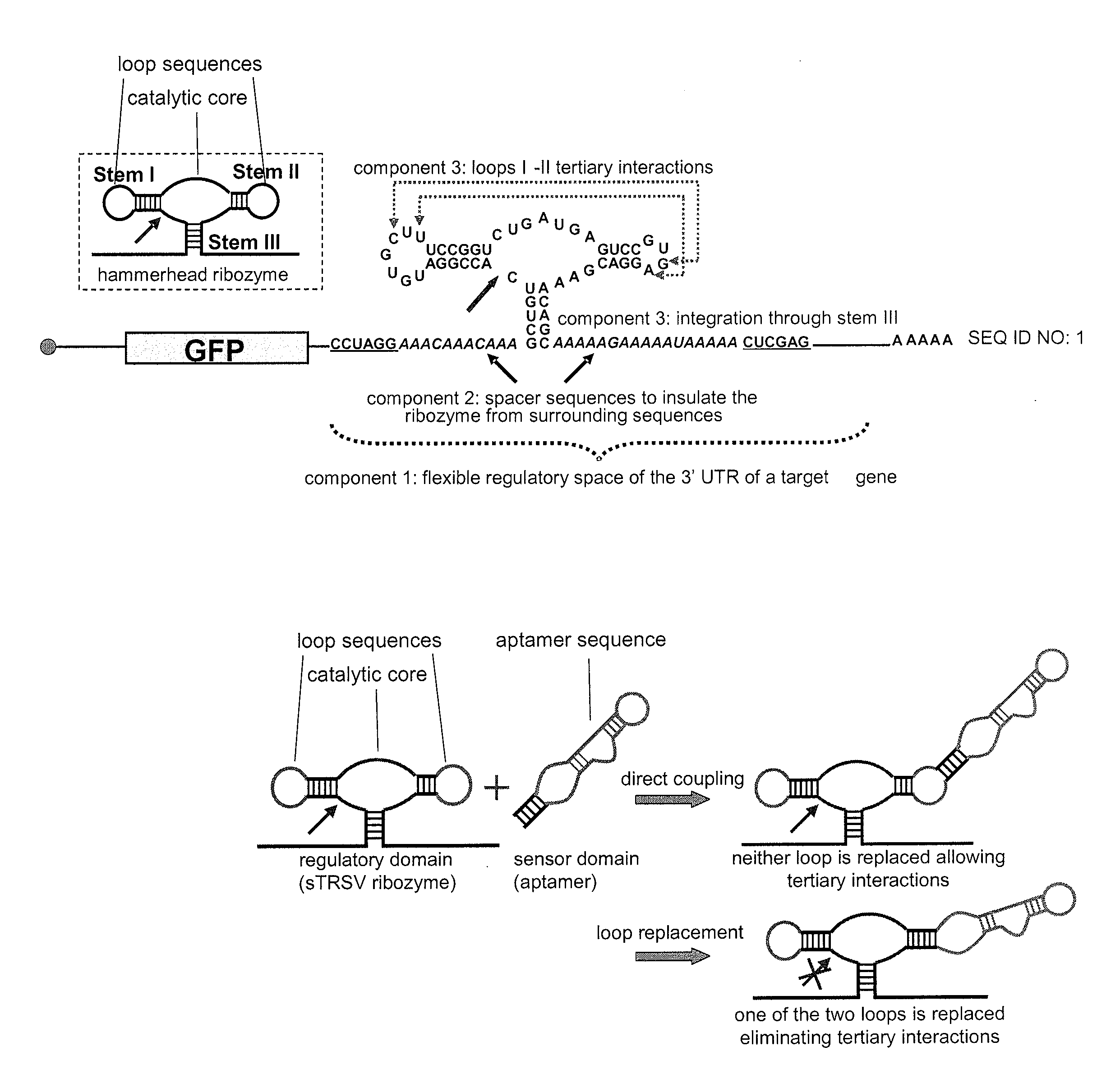 Modular aptamer-regulated ribozymes