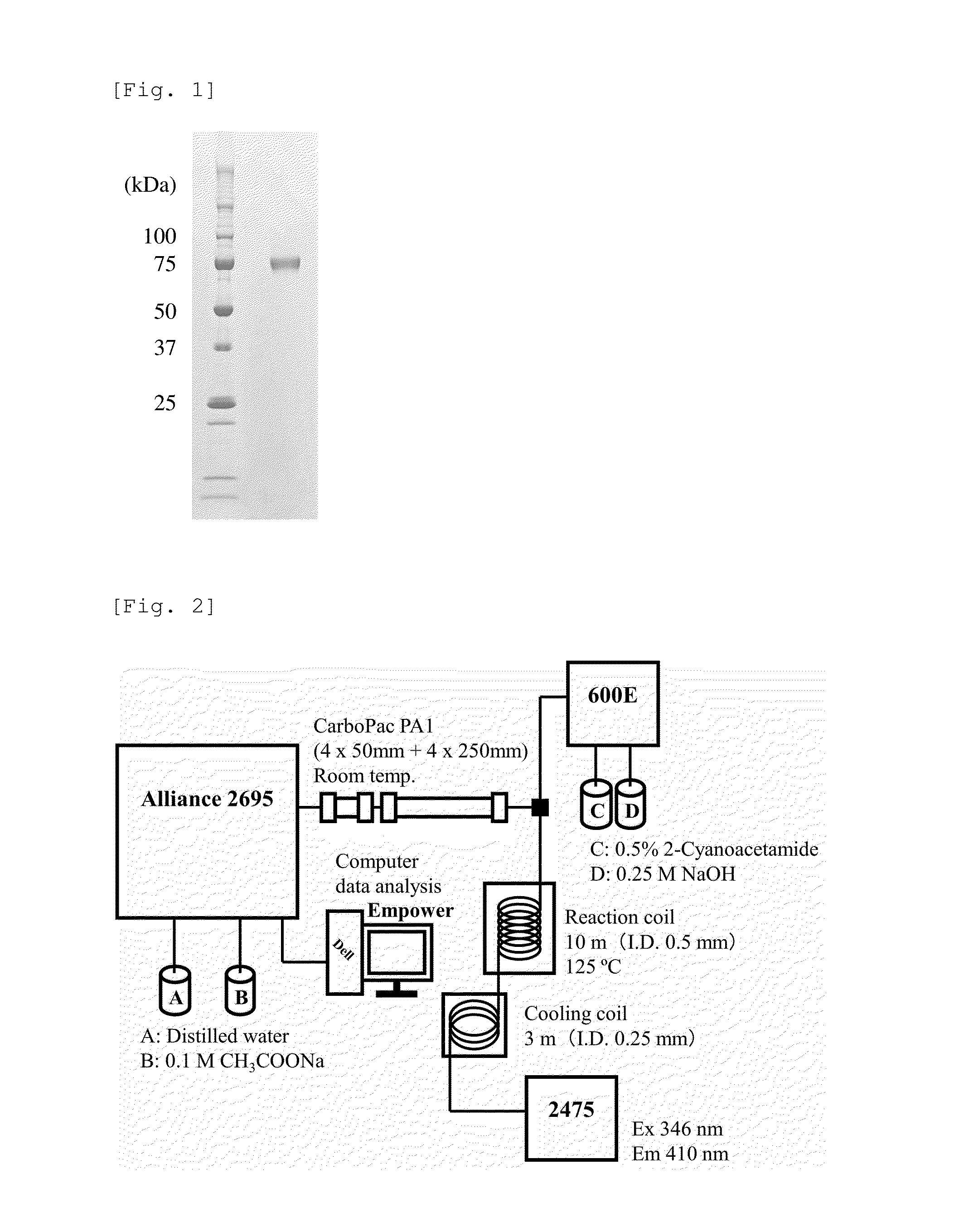 Heparosan-glucuronic acid-5-epimerase, and method for producing polysaccharide using same