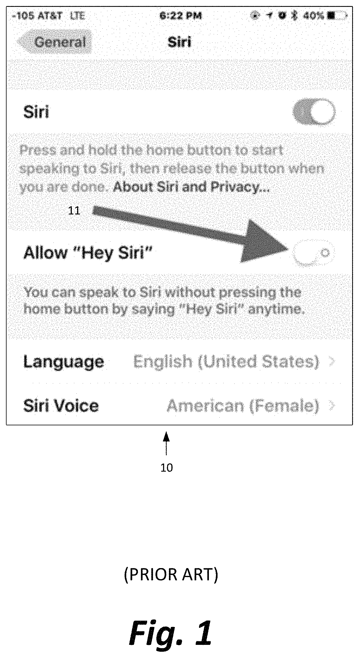 Secure and private processing of gestures via video input