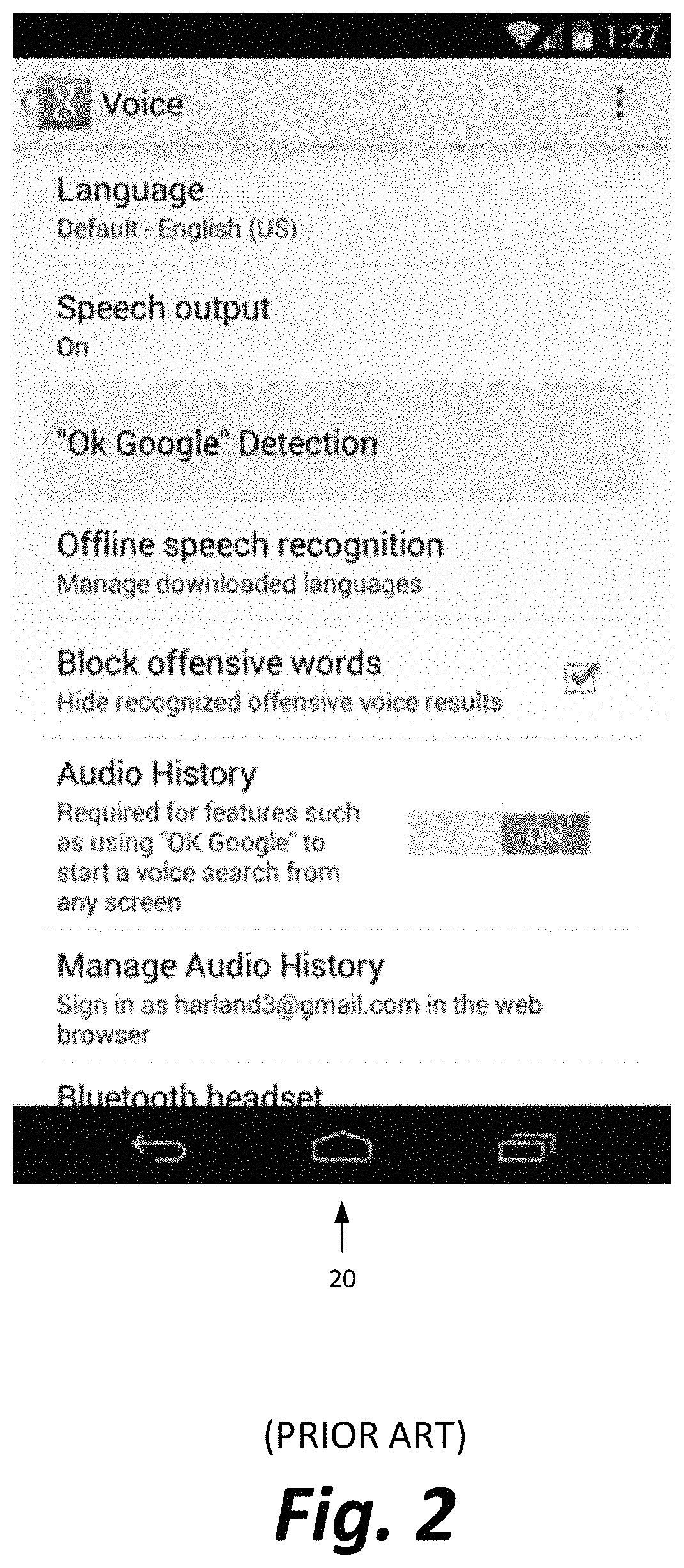 Secure and private processing of gestures via video input