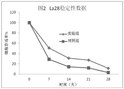 Optimized process method for improving stability of lactic acid bacteria cells