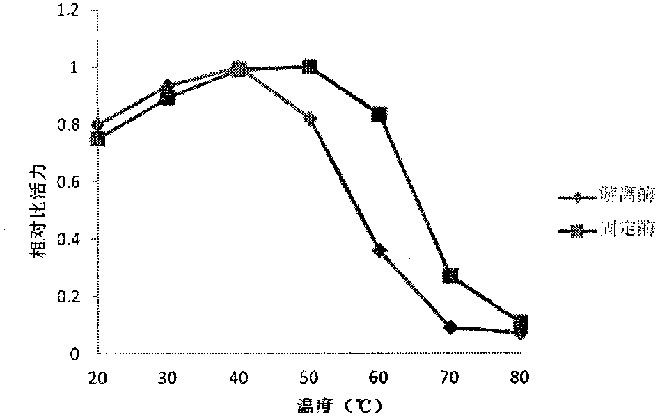 Method of preparing linoleate isomerase micro-capsules on the basis of polyelectrolyte layer-by-layer self-assembly technology