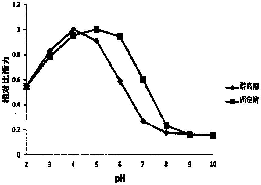 Method of preparing linoleate isomerase micro-capsules on the basis of polyelectrolyte layer-by-layer self-assembly technology