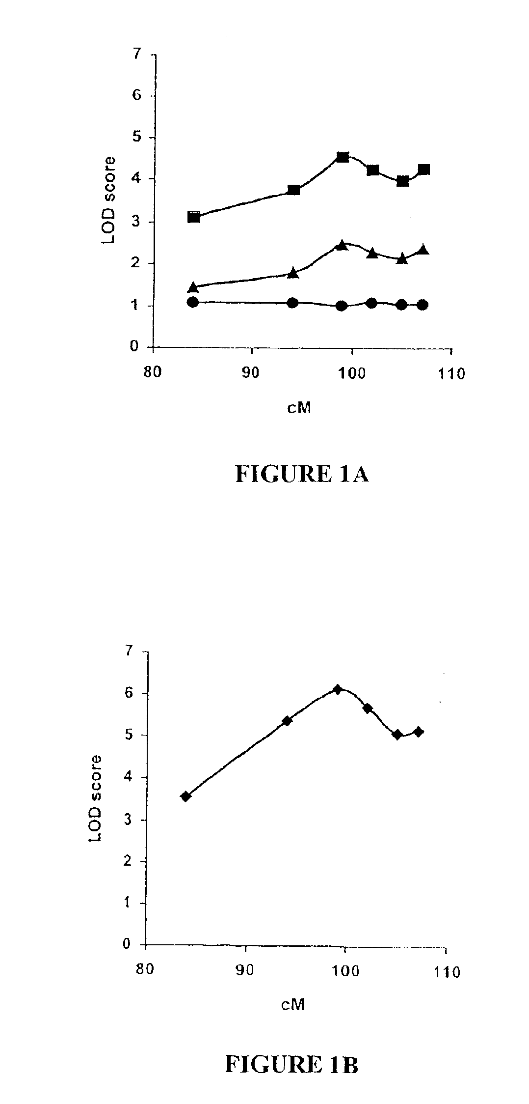 STK15 (STK6) gene polymorphism and methods of determining cancer risk