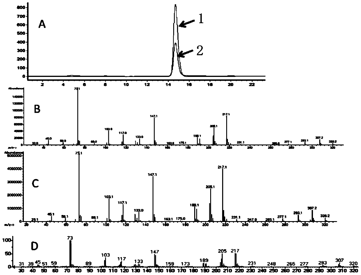 Construction method of recombinant Yarrowia lipolytica for synthesis of xylitol and strain thereof