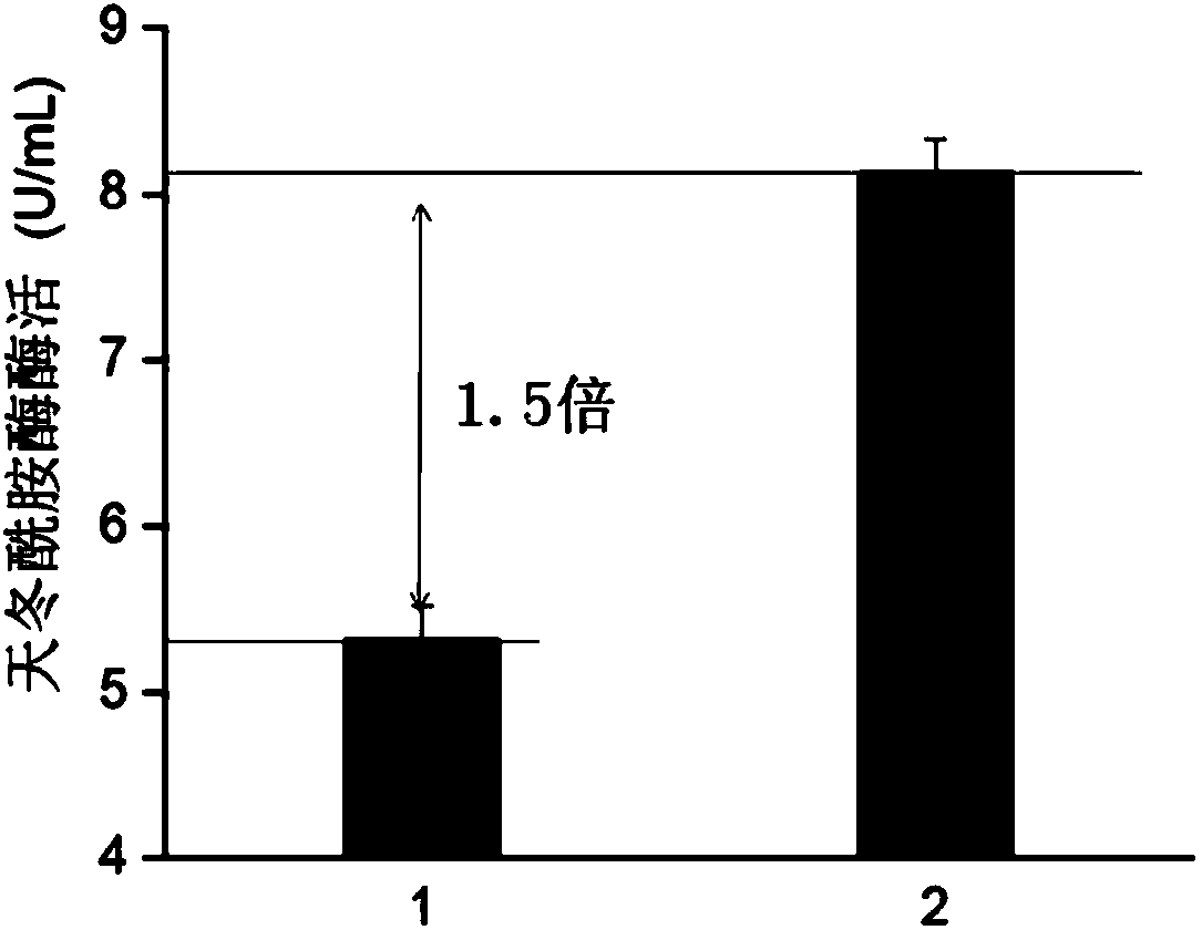 Signal peptide capable of improving secretion efficiency, and applications thereof