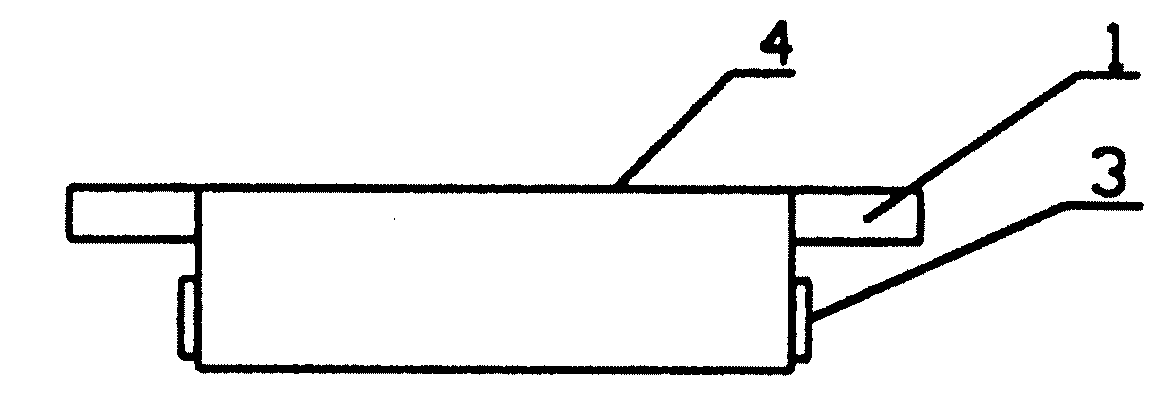 Vibrating system of panel form electrodynamic loudspeaker