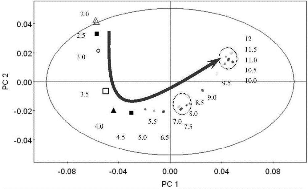 Metabonomics extraction method of pig gastrointestinal tract content