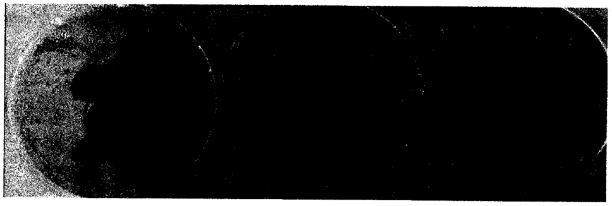 Open-type culture method for apple dwarfing stock tissue culture seedlings at rooting stage and culture medium adopted by method