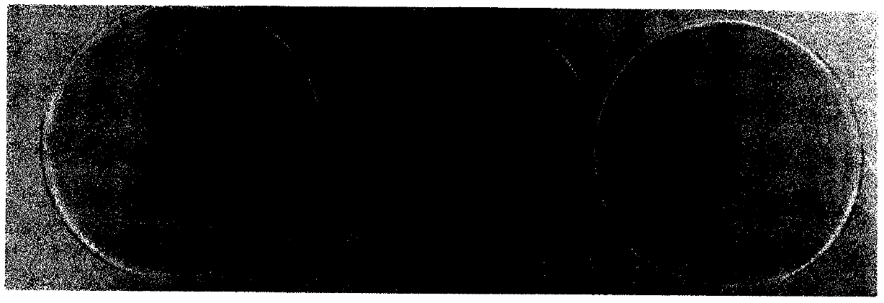 Open-type culture method for apple dwarfing stock tissue culture seedlings at rooting stage and culture medium adopted by method