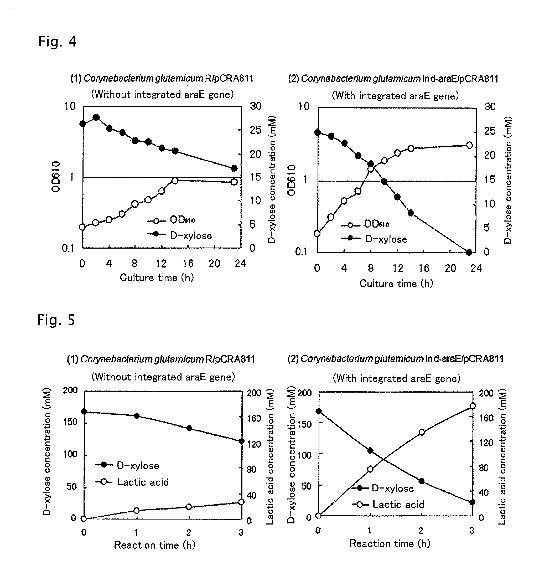 Coryneform bacterium transformant having improved D-xylose-utilizing ability