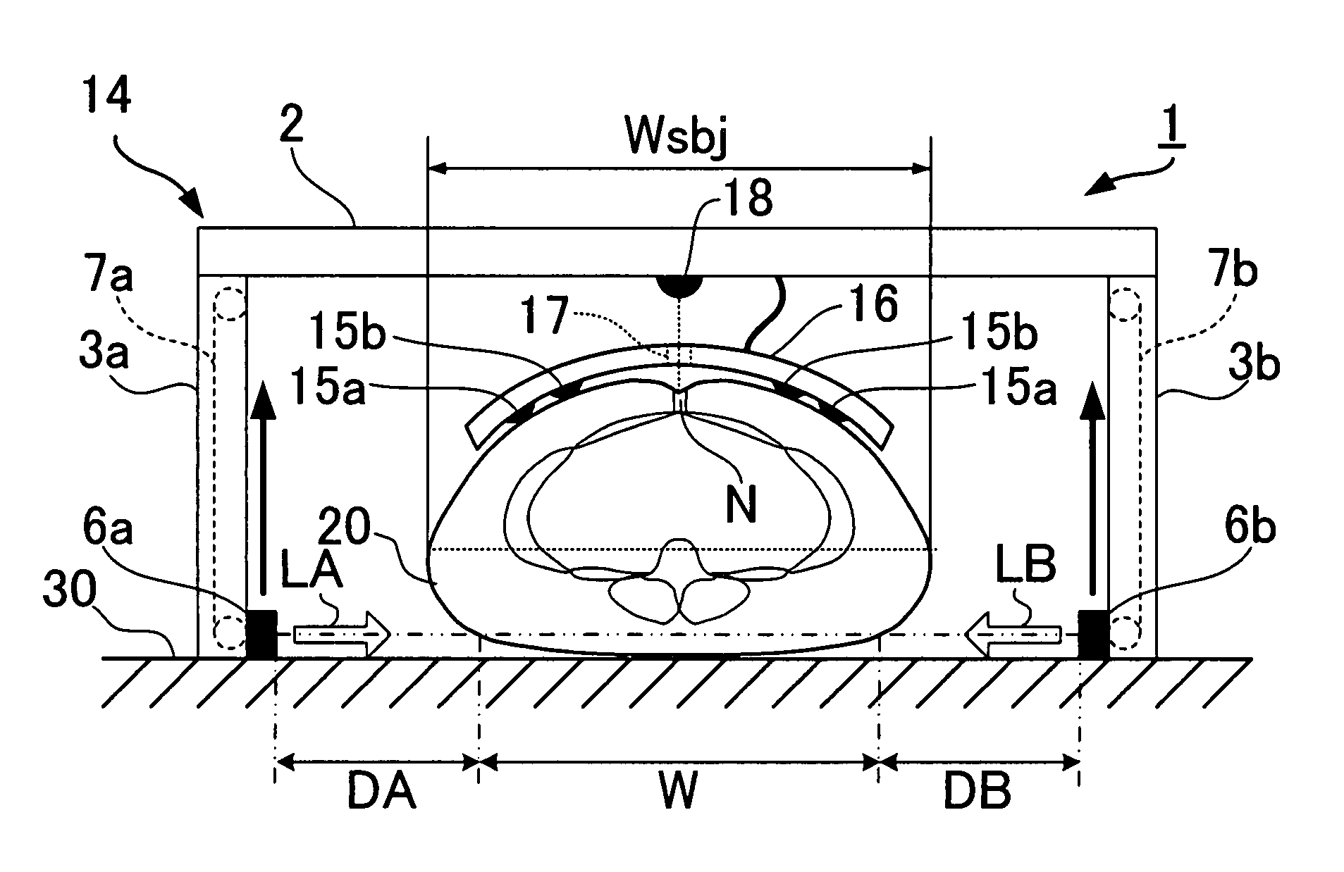 Waist circumference calculation apparatus and body composition determination apparatus