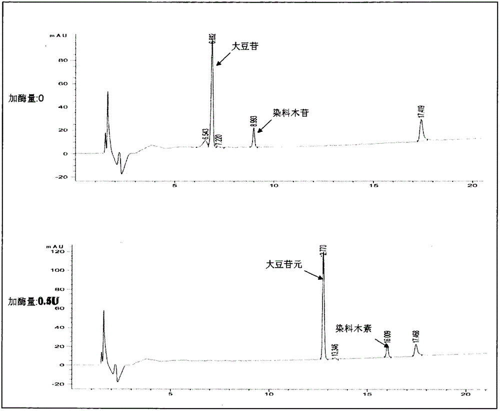 Production technology for extracting soybean isoflavone aglycone through enzymatic hydrolysis method