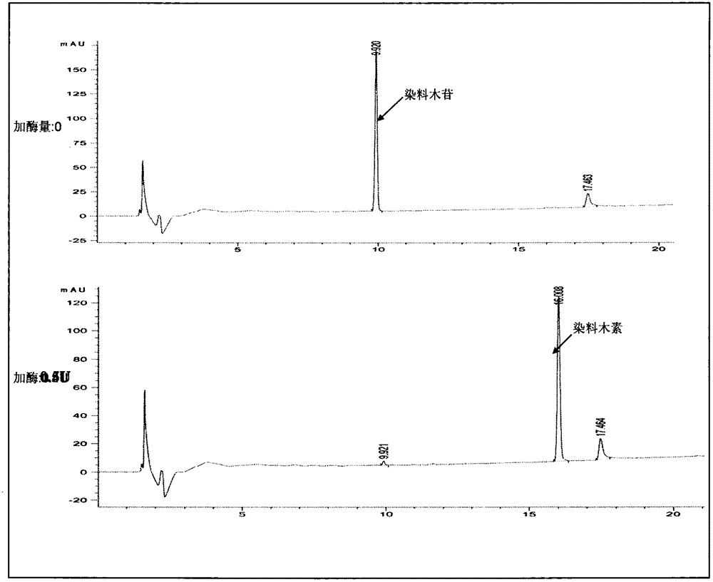 Production technology for extracting soybean isoflavone aglycone through enzymatic hydrolysis method