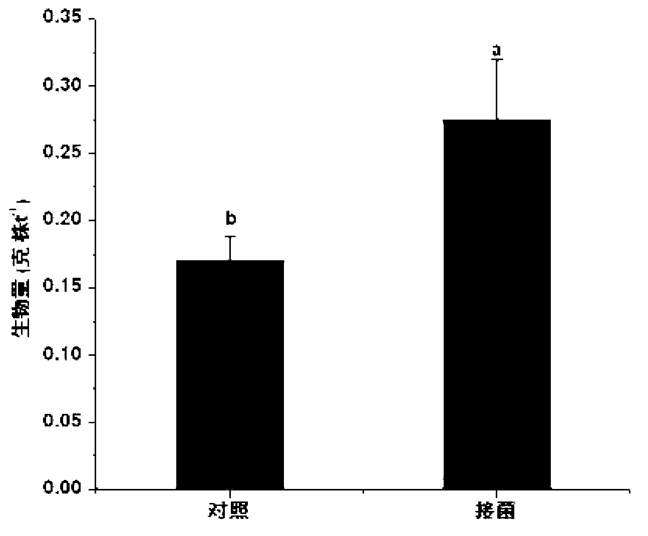 Plant endophyte and application thereof