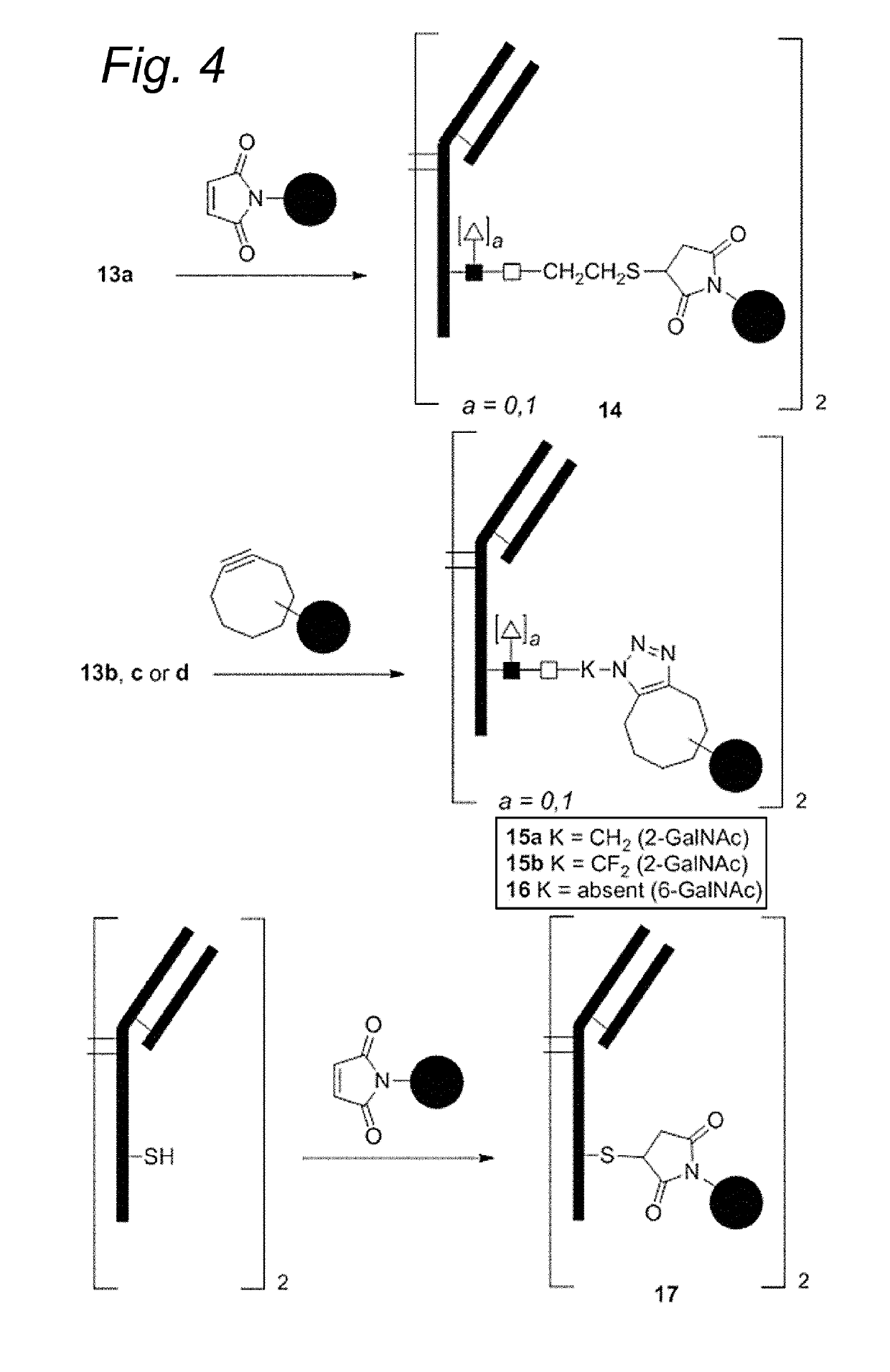 Bioconjugates containing sulfamide linkers for use in treatment