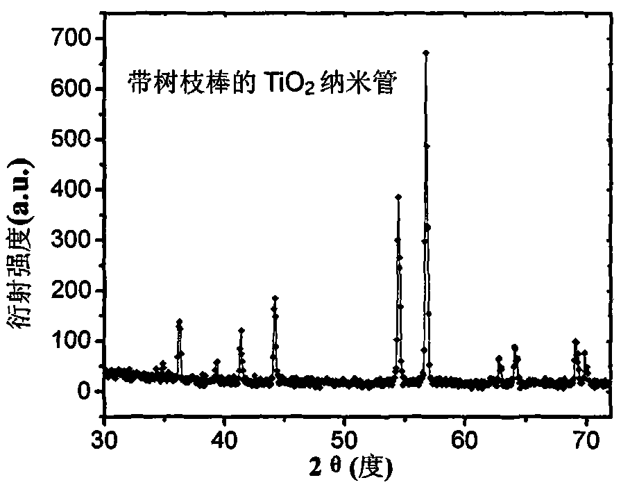 Preparation process of dendritic titanium dioxide nanotube array electrode