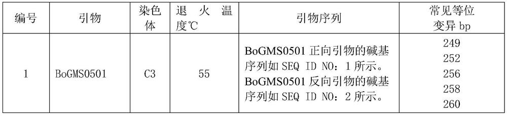 Manufacturing method of broccoli variety DNA molecular identity card