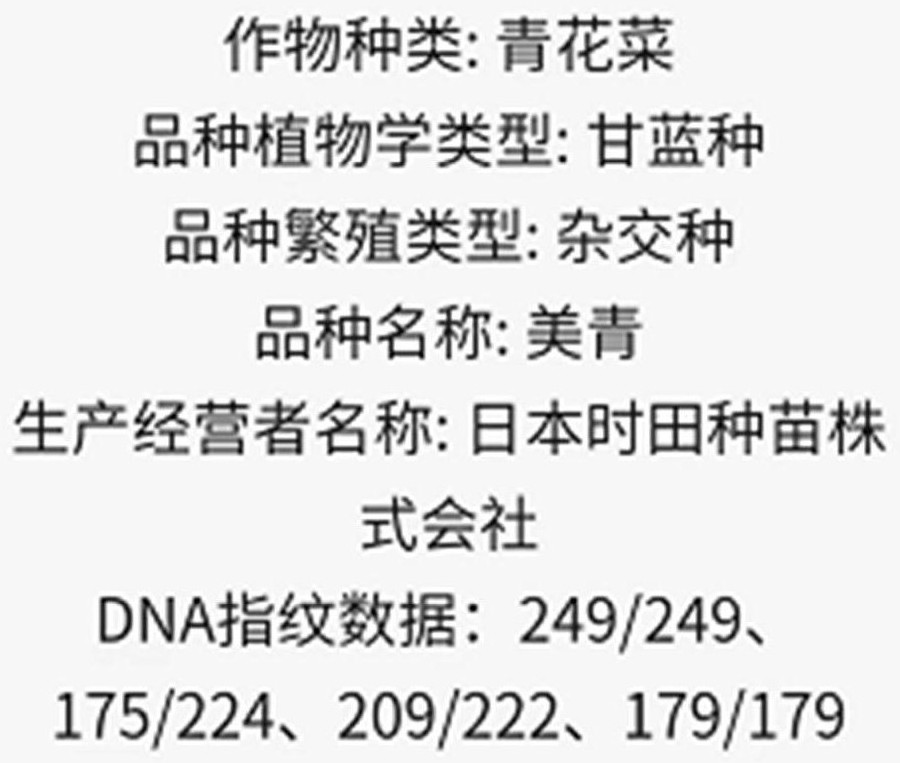 Manufacturing method of broccoli variety DNA molecular identity card