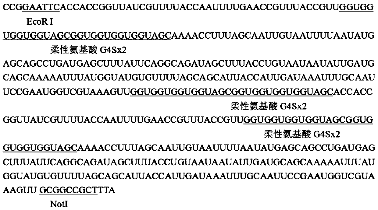 Bovine coronavirus recombinant multi-epitope antigen and its application