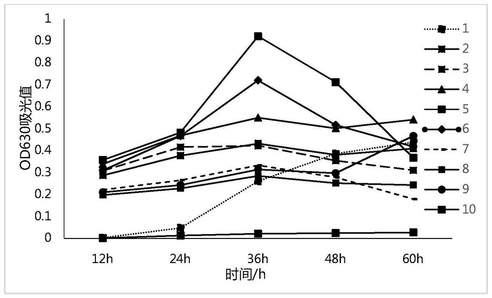 A kind of biological bacterial fertilizer for strengthening phytoremediation of cadmium-contaminated soil and its application