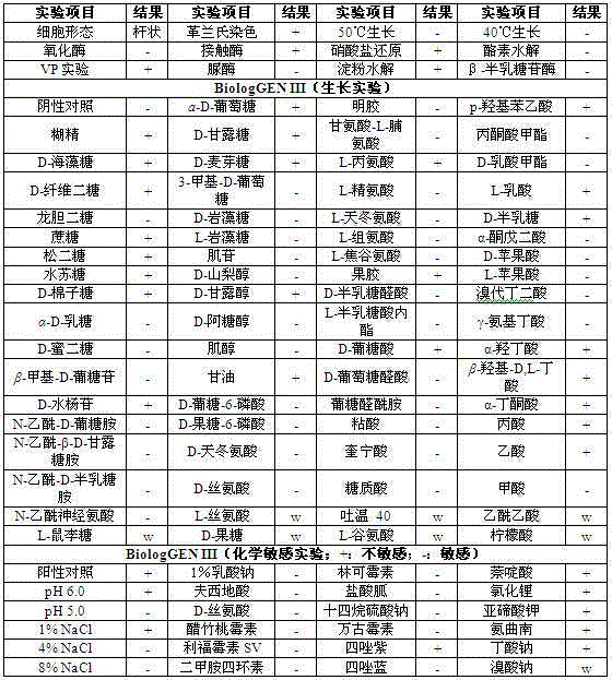 Microbacterium kitamiense and culture application thereof