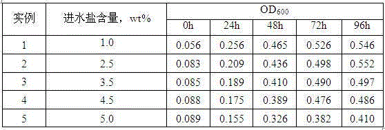 Microbacterium kitamiense and culture application thereof