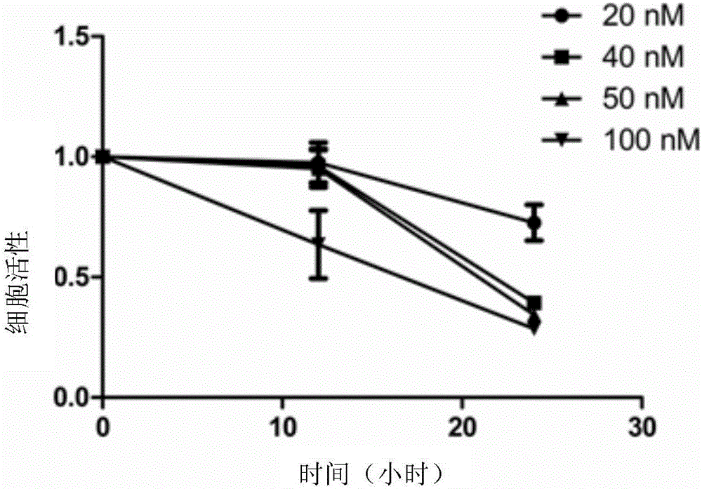 Method for improving porcine somatic cell nucleus transplantation embryo development efficiency