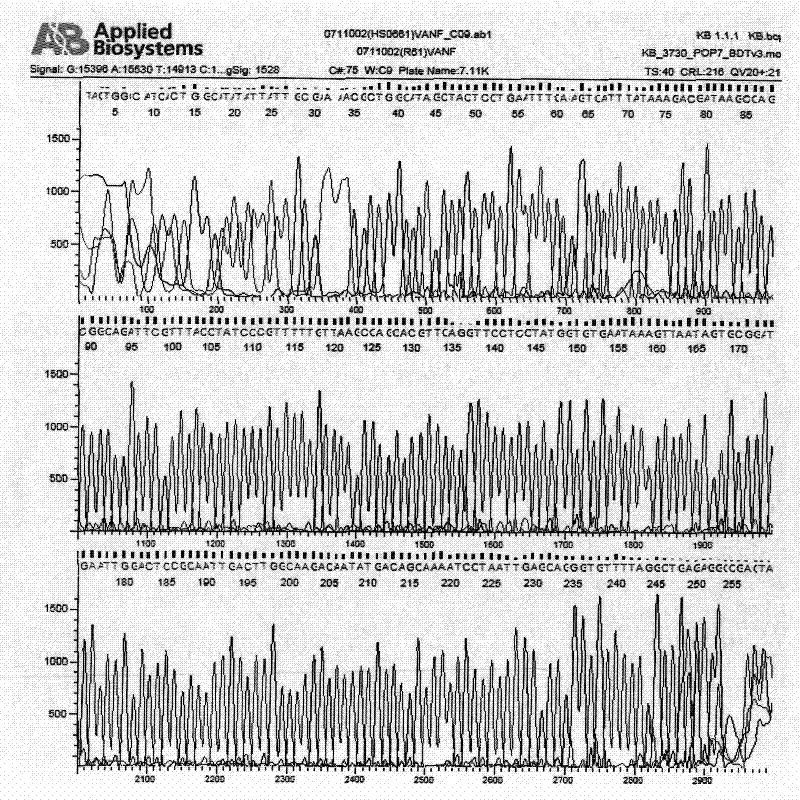 Gene for mediating drug resistance of vancomycin and application thereof