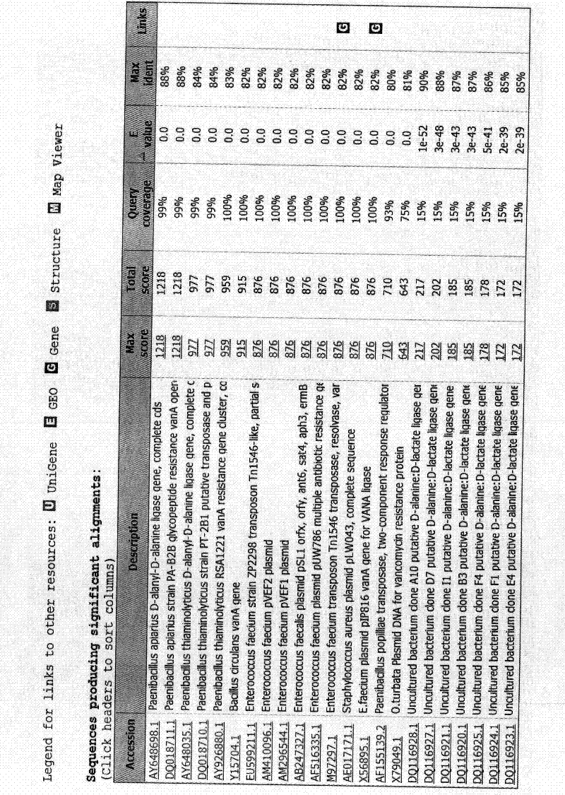 Gene for mediating drug resistance of vancomycin and application thereof