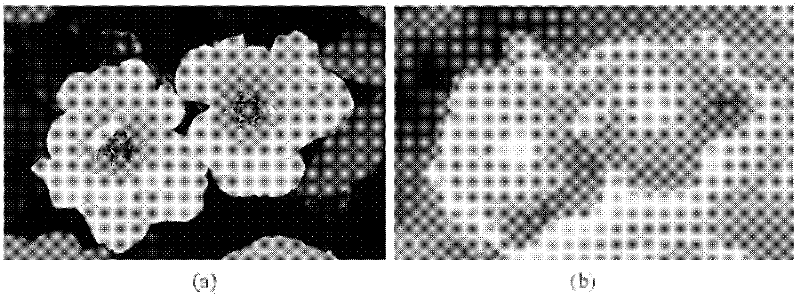 Region of interest extraction method of pixel level