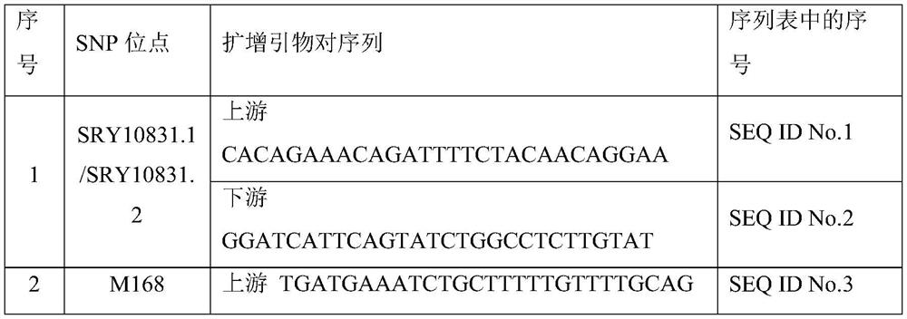 Forensic next-generation sequencing kit based on 165 y-snps