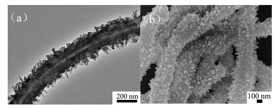 Synthetic method of polyaniline/carbon fiber composite material with nano-ordered structure