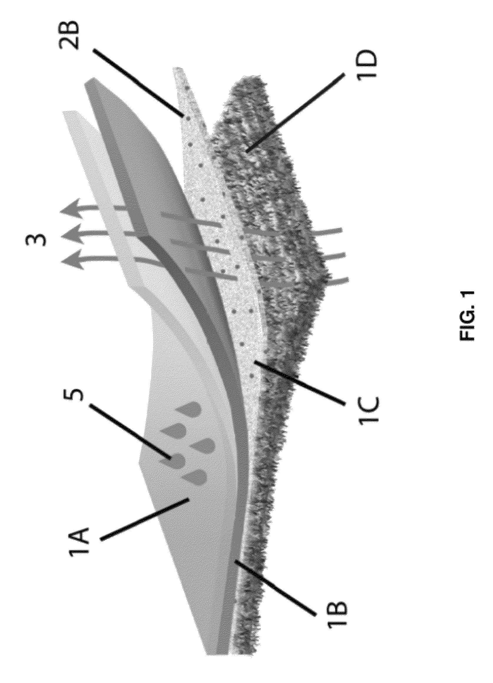 Vapor permeable fabric constructs