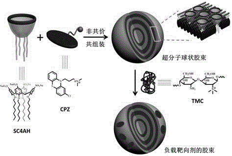 Preparation method of supermolecule globular micelle based on antidepressant medicament chlorpromazine