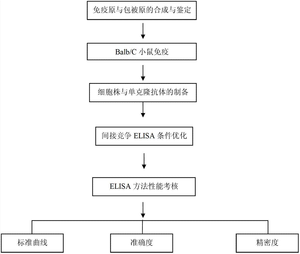 Monoclonal antibody, enzyme-linked immunosorbent assay method and kit for detecting beta-receptor stimulant