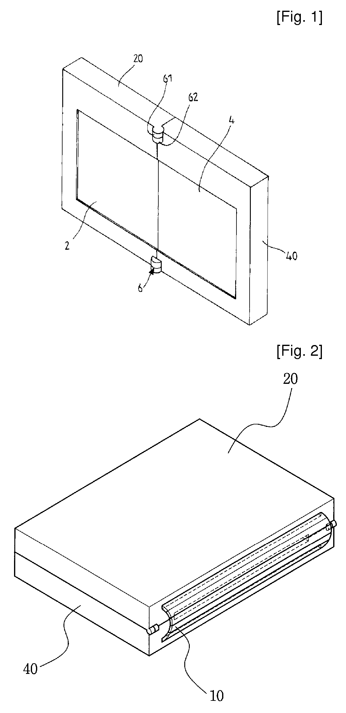 Portable Display Device