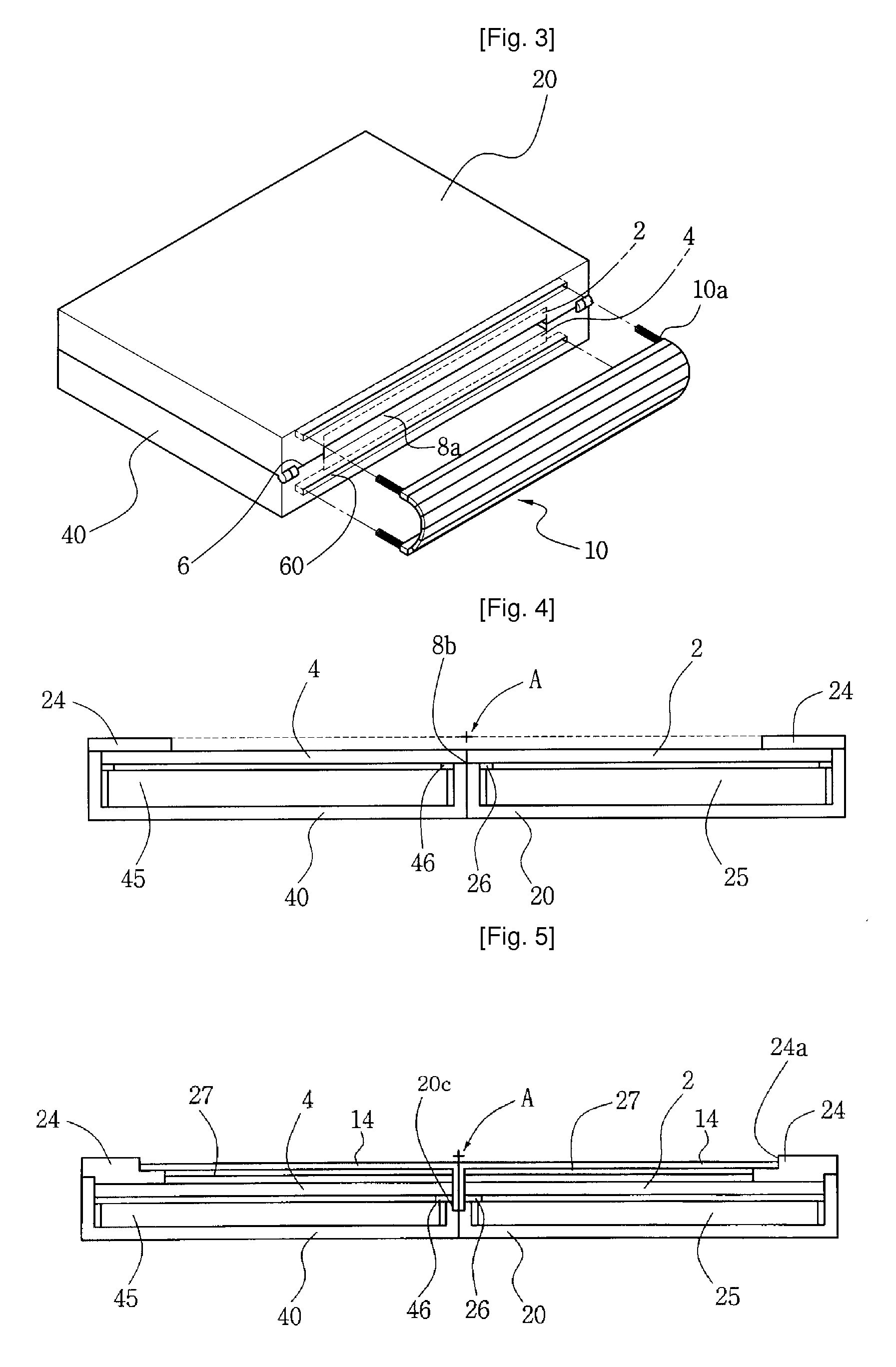 Portable Display Device