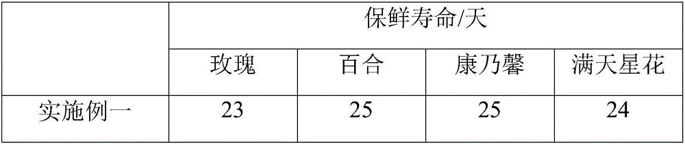 Plant preservative and preparation method thereof and application