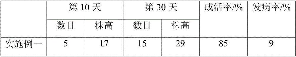 Plant preservative and preparation method thereof and application