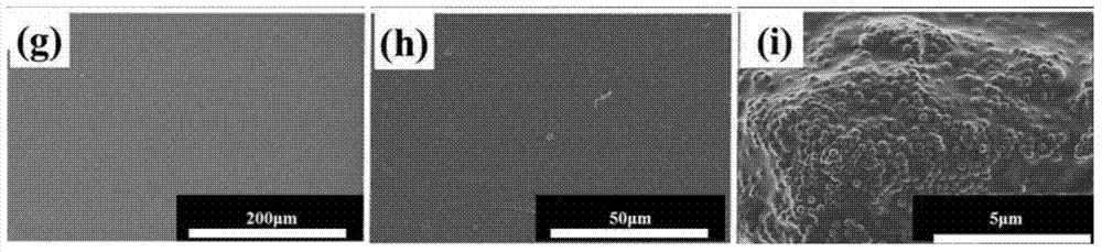 Preparation method of amphiphilic fluorine-containing nanoparticle/fluorine-containing epoxy resin hybrid and application thereof