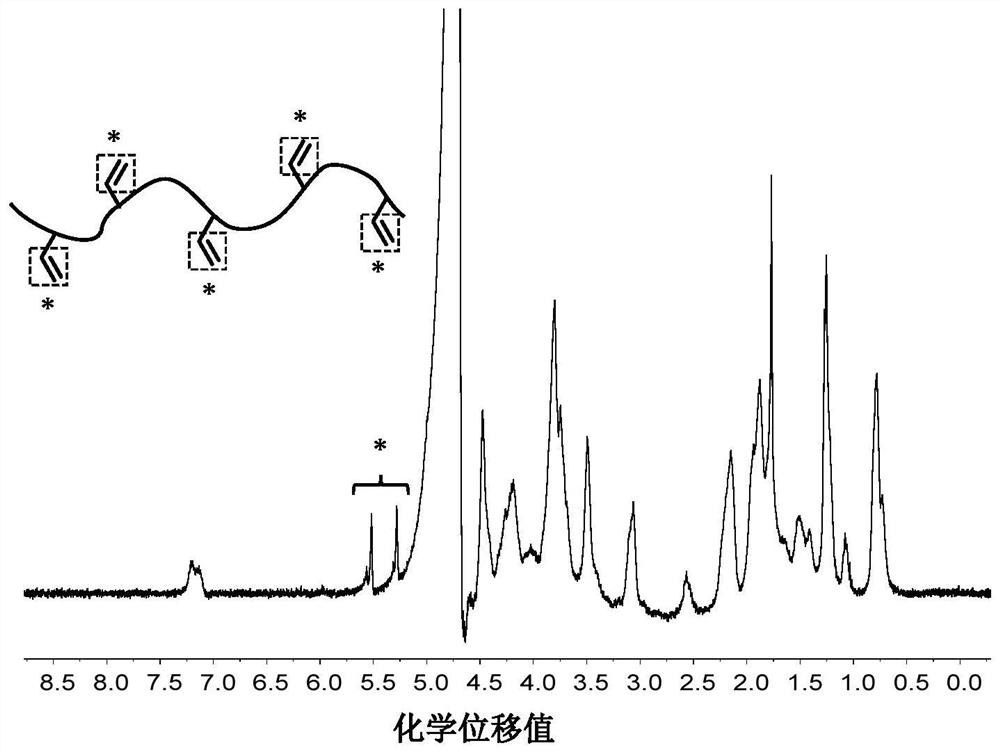 Injectable hydrogel hemostatic based on marine-derived gelatin as well as application and application method of hemostatic