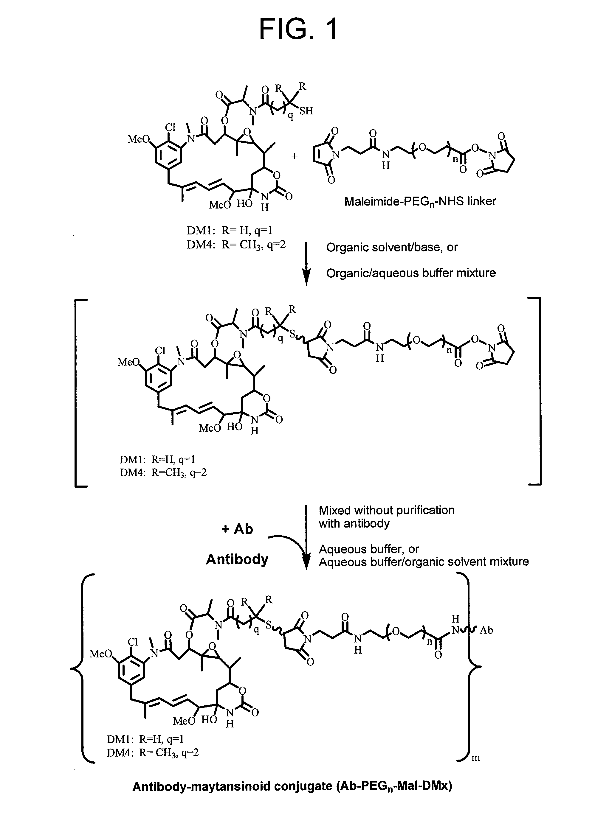 Methods for preparation of antibody-maytansinoid conjugates