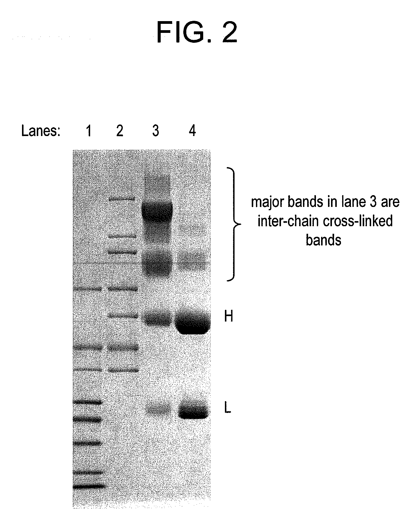 Methods for preparation of antibody-maytansinoid conjugates