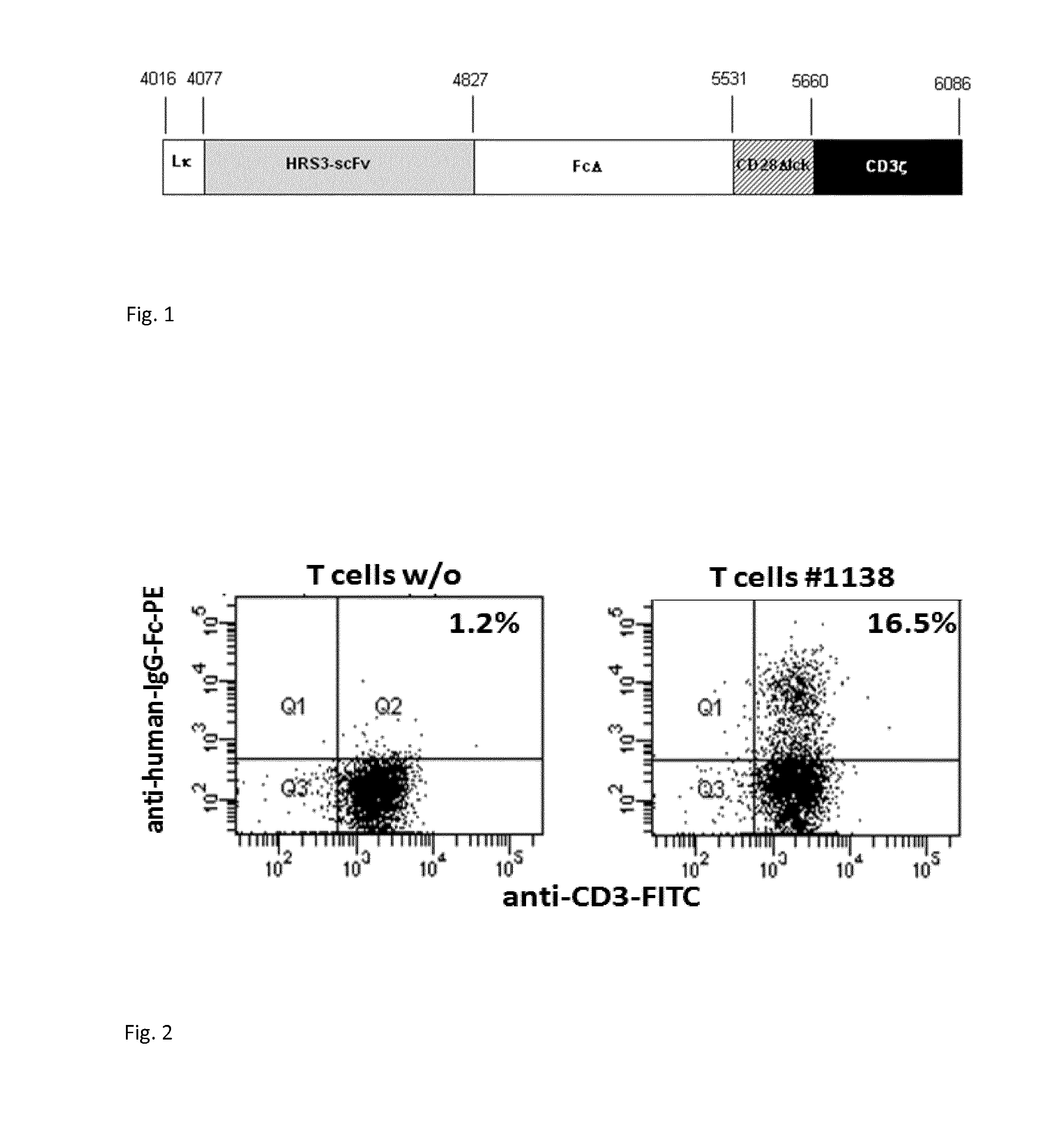 Anti cd30 chimeric antigen receptor and its use