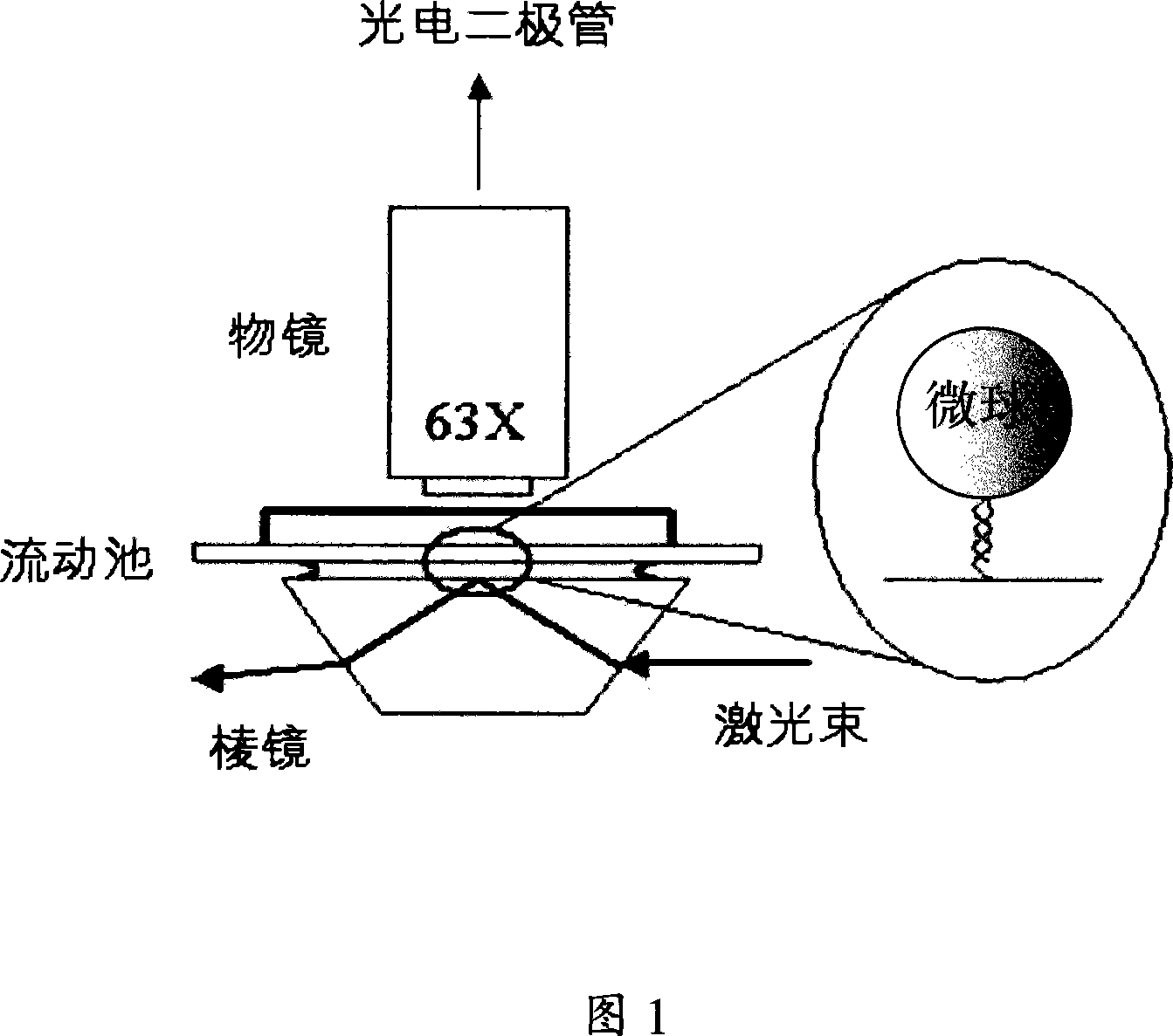 Total reflection near-field microscope combining with magnetic forceps for observing biomacromolecule