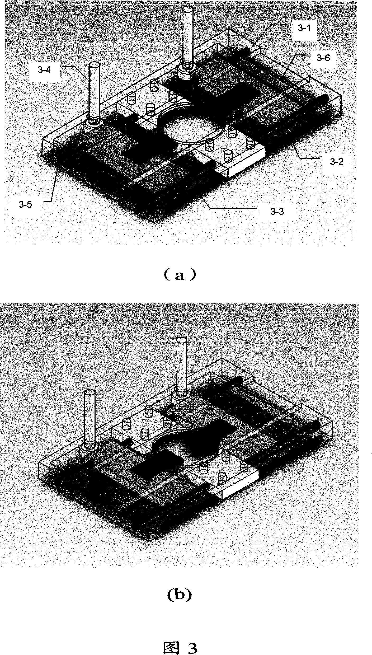 Total reflection near-field microscope combining with magnetic forceps for observing biomacromolecule