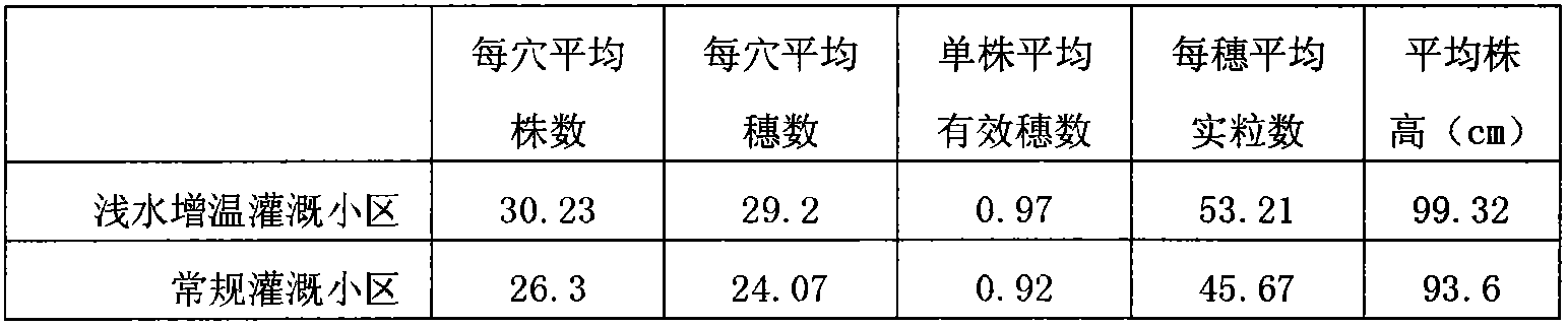 Method for shallow-water, temperature-raising and water-saving irrigation of paddy fields in cold area in early original field period